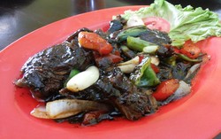 Bebek Goreng Pak Ndut: Pedas Menggigit Bebek Remuk dan Bebek Lada Hitam