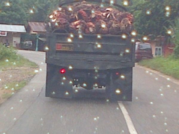 Mobil Aparat Kok Dibuat Objek Sampingan