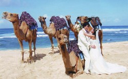 Foto Pre-wedding Unik di Bali, Naik Unta di Pinggir Pantai