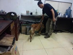 Unas: Kampus Haram Aparat Jadi Celah Peredaran Narkotika