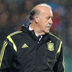 Del Bosque Bisa Saja Tinggalkan Spanyol Usai Piala Dunia 2010, namun...