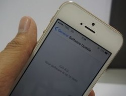 Ada Apa di Update iOS 8.1?