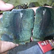 Warga Banyuwangi Temukan Penampakan Putri Duyung Saat Belah Batu Akik