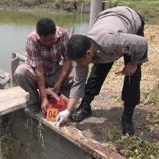 Seorang Pemuda Ditemukan Tewas Bersimbah Darah di Tambak