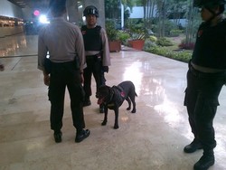Amankan Pelantikan Jokowi-JK, 12 Anjing Pelacak Bom Dikerahkan