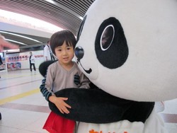 Ada Panda Lepas di Stasiun Namba, Jepang!