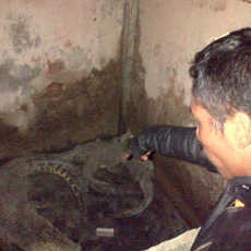 Polisi dan BKSDA Sita Puluhan Satwa Dilindungi dari Dua Desa