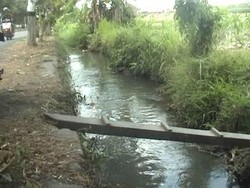 Pembunuhan Sadis WN Inggris di Bali Diotaki Istri, Apa Motifnya?