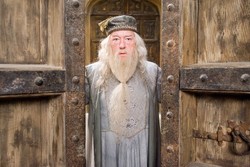 Hiks... Nama Dumbledore Dilarang di Tiongkok