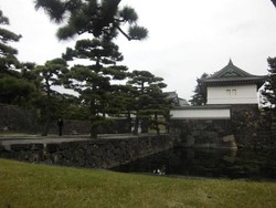 Aduh, Banyak Nyamuk di Istana Kekaisaran Tokyo