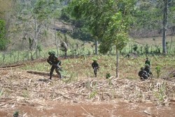 Begini Aksi Tempur dan Penyamaran Prajurit Marinir