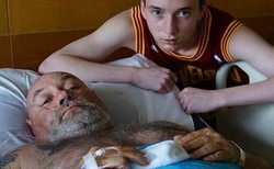 Turis Ini Diterkam Harimau di Phuket