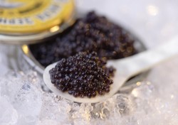 Kazakhstan Akan Pakai Spa Kaviar Hitam untuk Tingkatkan Jumlah Turis