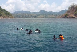 Bawean, Si Eksotis dari Gresik Butuh Perawatan dari Warga Setempat