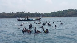 Keindahan Bawah Laut Bawean Diklaim Terindah Se-Jatim