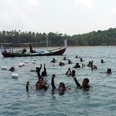 Keindahan Bawah Laut Bawean Diklaim Terindah se Jatim