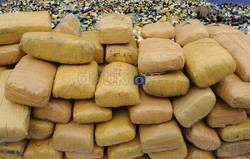 Mengapa Gembong 1 Ton Ganja Hanya Dihukum 12 Tahun Penjara?