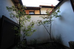 Homestay di Jepang Saja Punya Taman yang Cantik