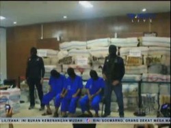 Ganja Sebanyak 8 Ton Diamankan Petugas BNN