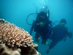 Pulau Cina, Spot Diving Keren di Jawa Timur