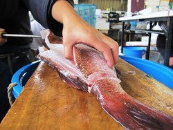Tsukiji Market, Muara Angke Tanpa Bau Amis