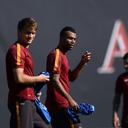 Serigala Ibukota Sedang Menikmati Periode Padatnya