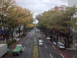 Trotoar Romantis di Harajuku