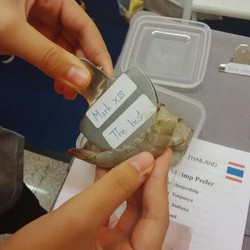 The Shrimp Peeler Karya Siswi Thailand Ini Penolong Ibu Rumah Tangga