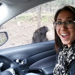 Foto Selfie Bareng Beruang di AS, Jangan Coba-coba Ya!