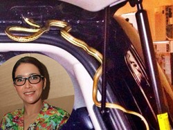 Hii...Ada Ular Menyelinap di Mobil Maia Estianty