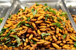 Pertama Kali Keripik dan Burger Serangga Dijual oleh Supermarket Belanda