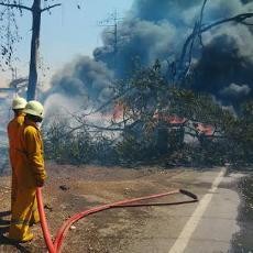 Kebakaran Lahan Tebu Hanguskan Tiga Bangunan