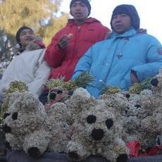 Bunga Edelweis Masih Dijual Bebas di Bromo