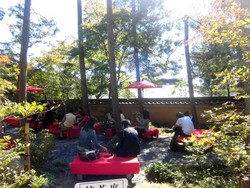 Slurp! Nikmatnya Teh Matcha di Kuil Kinkaku-ji