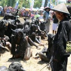 Jelang Musim Tanam, Masyarakat Banyuwangi Gelar Ritual Kebo-keboan