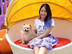 Kamar Dhea Seto Serba Ungu dan Anjing Kesayangannya