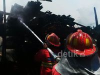 Si Jago Merah Lalap Gudang Kayu di Sanur
