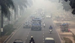 Terdeteksi 234 Hotspot di Pulau Sumatera, Riau Dikepung Asap