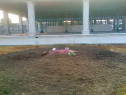 Ada Taburan Bunga Aneka Warna, ini Penampakan Kuburan Kebo Bule Si Bagong