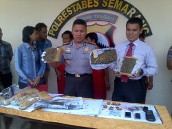 Polisi Bekuk Pengedar Ganja dan Mengamankan Barang Bukti Seberat 7 Kg