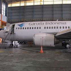 Direksi BUMN Dilarang Terbang Kelas Bisnis, Dirut Garuda Khawatir