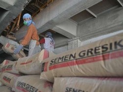 Kendala Transportasi, Harga 1 Sak Semen di Puncak Papua Rp 1,5 Juta!