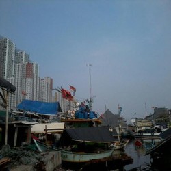 Bu Susi, Nelayan Muara Baru Gajinya Rp 20 Ribu/Hari