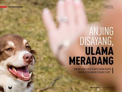 Anjing Disayang, Ulama Meradang
