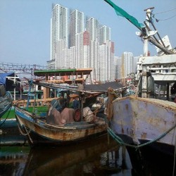 Nelayan Kena Pungli Unik, Bisa Dibayar Pakai Ikan