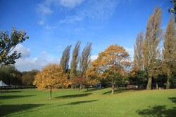 Warna-warni Musim Gugur di Victoria Park, Inggris