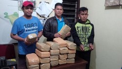 Hendak Selundupkan 20 Bal Ganja Kering, Diah Dicokok Polisi