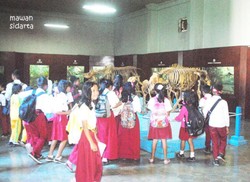 Sabtu Pagi Ini, Ayo ke Museum Zoologi Bogor