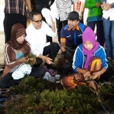 Rumput Laut Kini Jadi Ladang Emas Nelayan Banyuwangi
