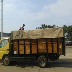 Penyelundupan Daging Celeng Kembali Terbongkar di Pelabuhan Merak